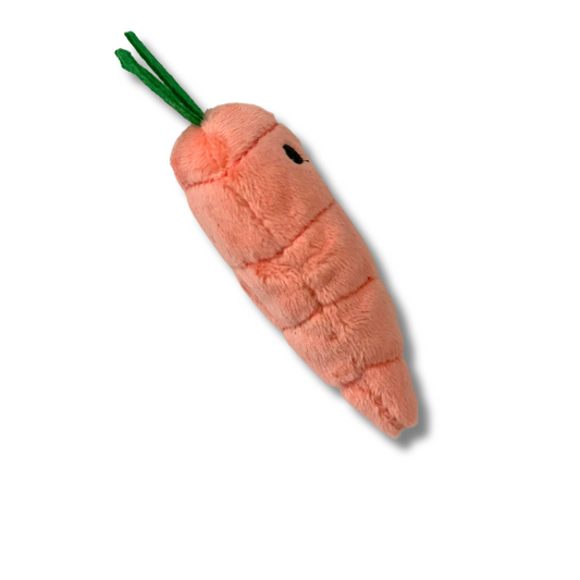 10cm Soft Plush Catnip Cat Toys filled with 100% Catnip - Carrot