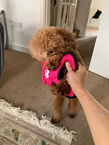 30cm Durable Nylon Dog Squeaker Toy for water war!