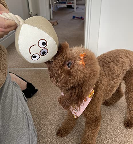 Eco-Friendly Natural Chew Toy for Dogs