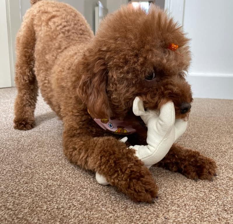 Eco-Friendly Natural Chew Toy for Dogs