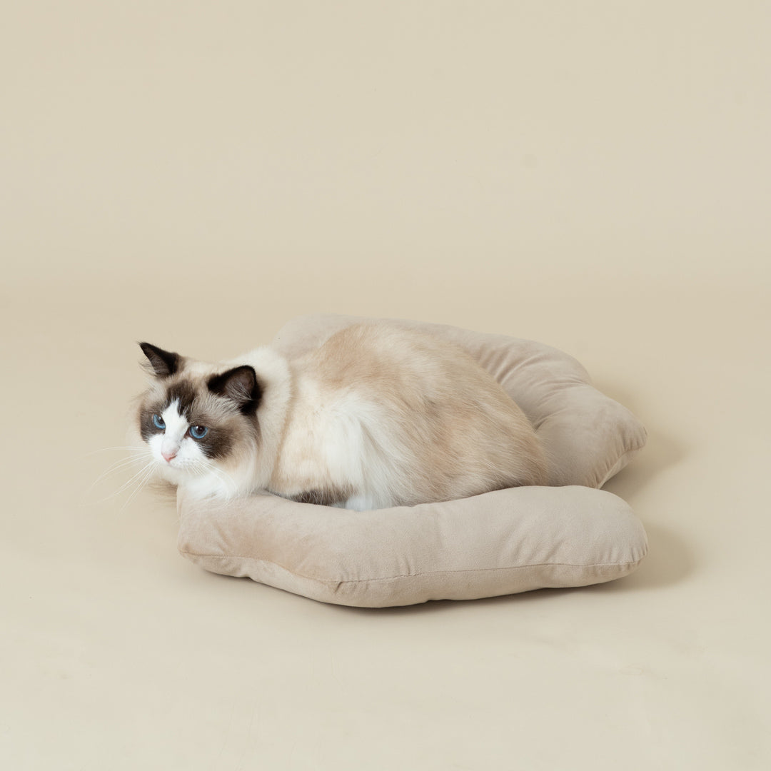 寵物貓頭枕咕𠱸