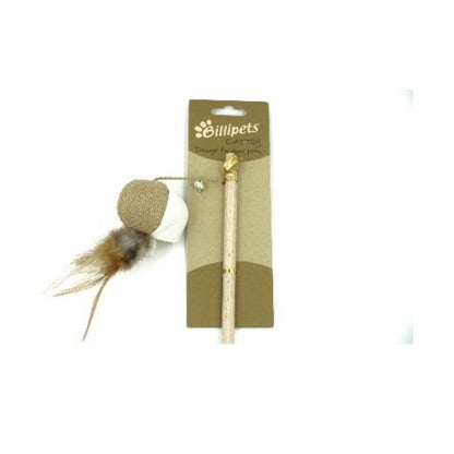 Cat playing with a durable teaser wand