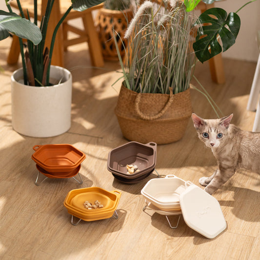 Dinon Portable Pet Bowl