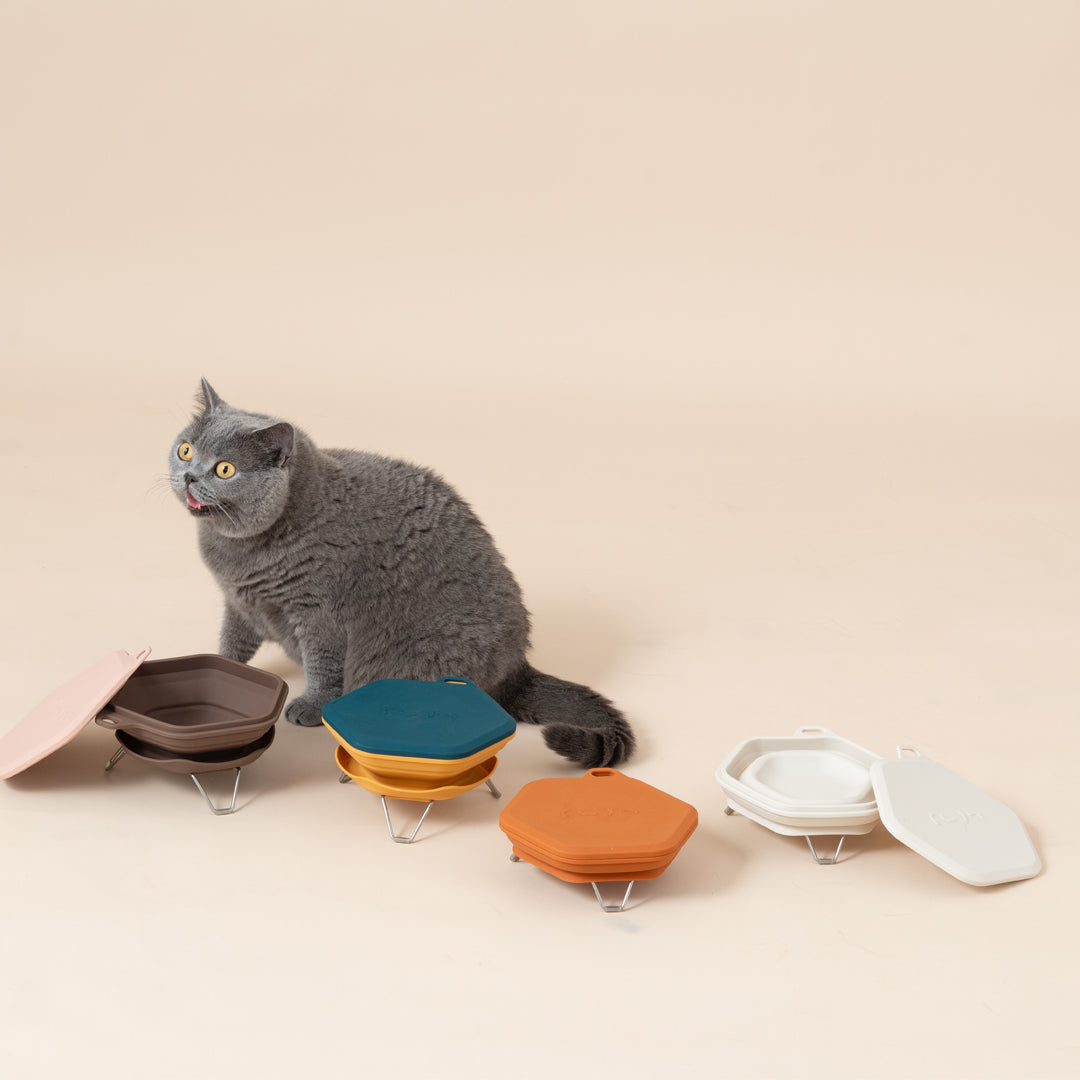 Dinon Portable Pet Bowl