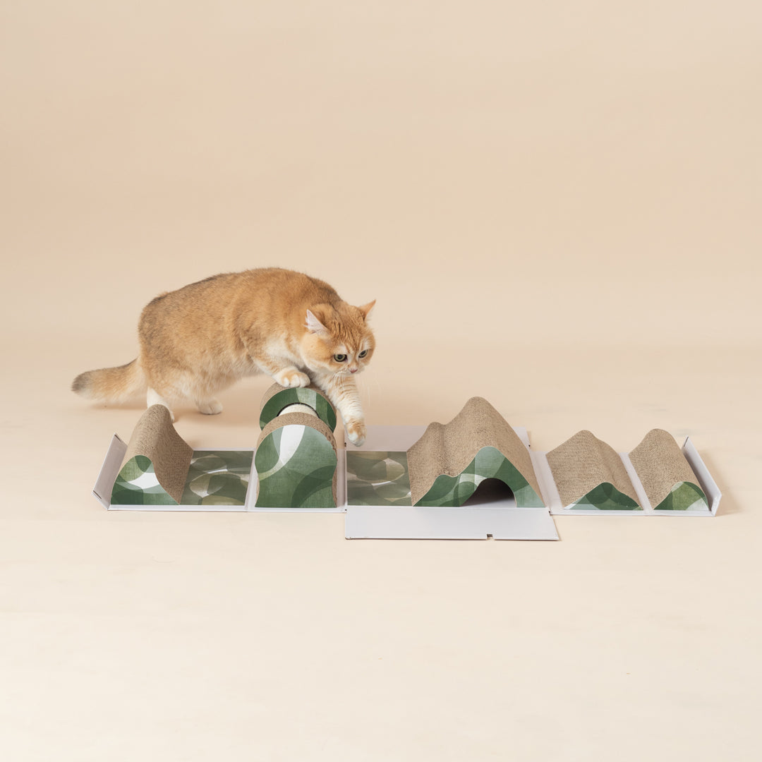 Mystery Box-Cat Scratch Box