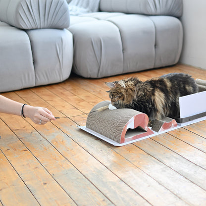 Mystery Box-Cat Scratch Box