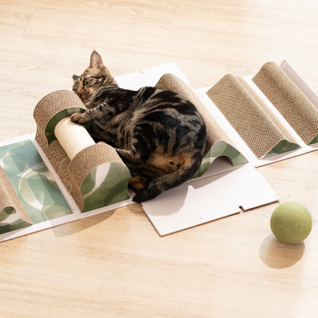 Mystery Box-Cat Scratch Box