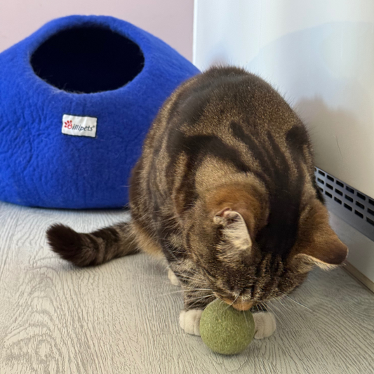 Pure Catnip Balls (3-Pack) – 100% Natural Cat Toy for Maximum Fun