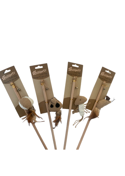 Cat playing with a durable teaser wand toy