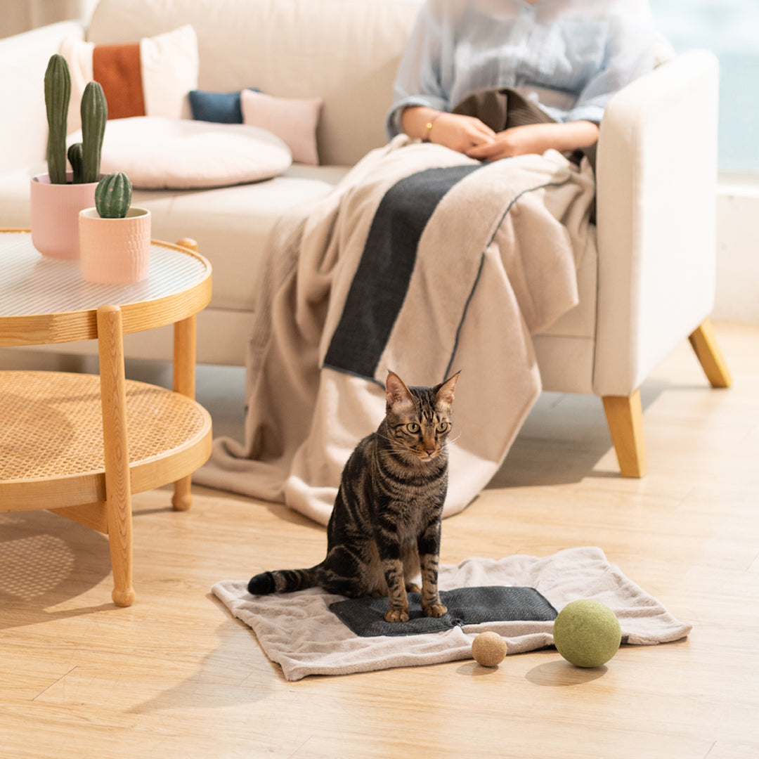 Quin Cushion Blanket