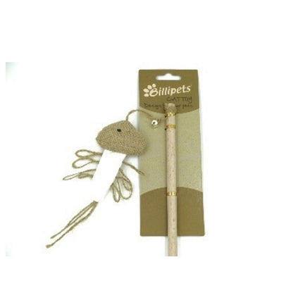 Cat playing with a durable teaser wand