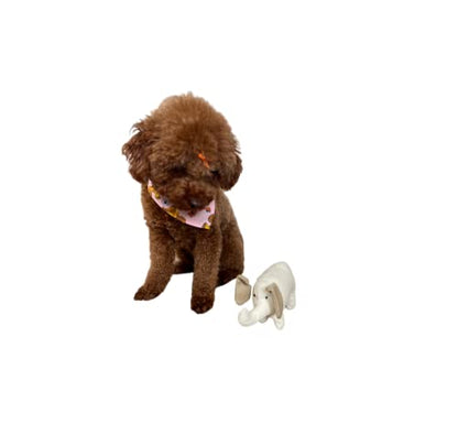 Eco-Friendly Natural Chew Toy for Dogs
