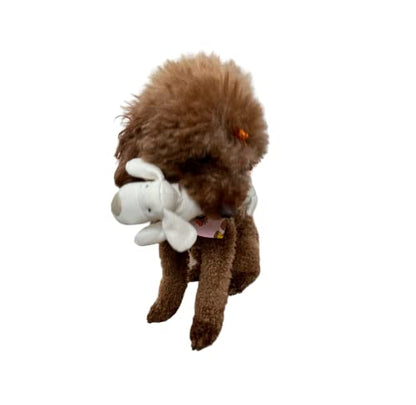 Eco-Friendly Natural Chew Toy for Dogs