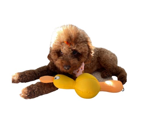 Billipets Floating Dog Toys Duck. Durable and Tough Colorful Neoprene Dog Toy. Ideal for Water War, Interactive Game of Tug and Fetch, Size: 30cm