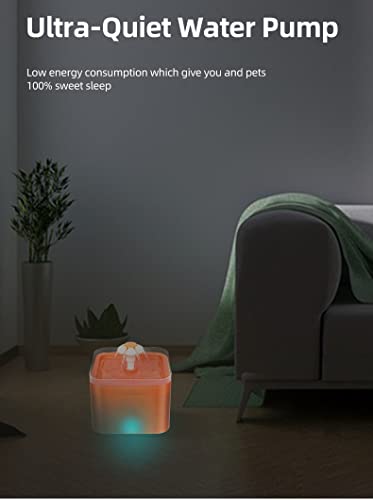 Cat Water Fountain 2L With 2 Packs Carbon Filters