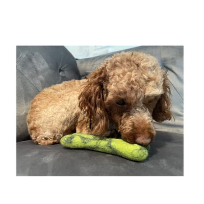 New Zealand Natural Wool Fuzzy Bone Dog Toy