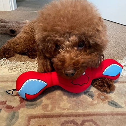Floating Dog Toys. Durable and Tough Colorful Neoprene Dog Toy. Ideal for Water War, Interactive Game of Tug and Fetch, Size: 30cm