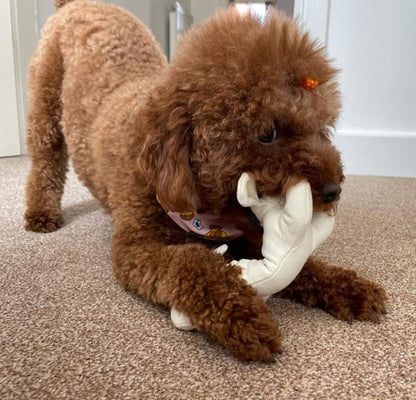 Eco-Friendly Natural Chew Toy for Dogs